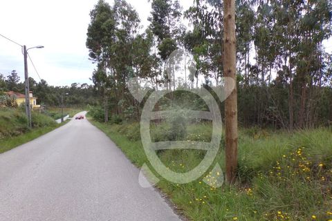 Helårsgrund i Coimbra, Coimbra, Coimbra - € 13.500 | Ref: cbr2717 - foto 4