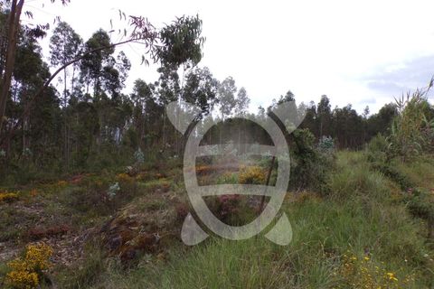 Helårsgrund i Coimbra, Coimbra, Coimbra - € 13.500 | Ref: cbr2717 - foto 5