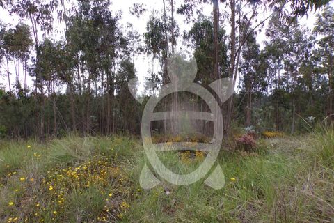 Helårsgrund i Coimbra, Coimbra, Coimbra - € 13.500 | Ref: cbr2717 - foto 9
