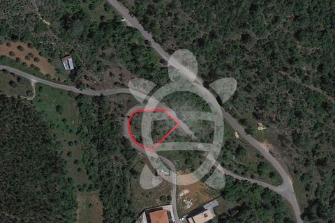 Terra a Condeixa-a-Nova, Coimbra, Condeixa-a-Nova - € 35.000 | Ref: cdx0640 - foto 2