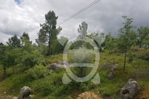 Terra a Condeixa-a-Nova, Coimbra, Condeixa-a-Nova - € 35.000 | Ref: cdx0640 - foto 3