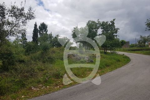 Terra a Condeixa-a-Nova, Coimbra, Condeixa-a-Nova - € 35.000 | Ref: cdx0640 - foto 4