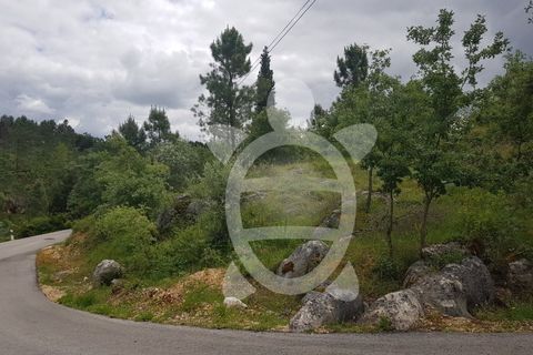 Terra a Condeixa-a-Nova, Coimbra, Condeixa-a-Nova - € 35.000 | Ref: cdx0640 - foto 6