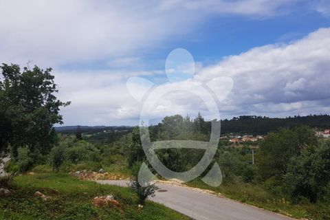 Terra a Condeixa-a-Nova, Coimbra, Condeixa-a-Nova - € 35.000 | Ref: cdx0640 - foto 7