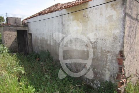 Erhvervsejendom i Tavarede, Coimbra, Tavarede - € 40.900 | Ref: ff1275 - foto 9