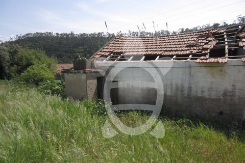 Erhvervsejendom i Tavarede, Coimbra, Tavarede - € 40.900 | Ref: ff1275 - foto 11