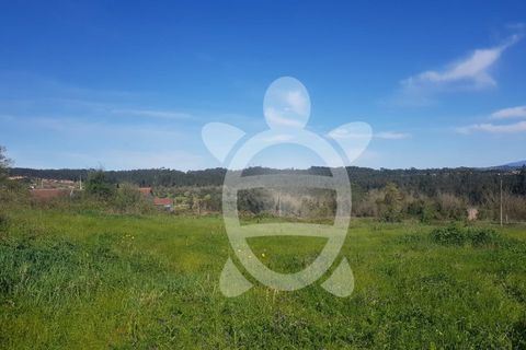 Terra a Condeixa-a-Nova, Coimbra, Condeixa-a-Nova - € 52.000 | Ref: cdx0609 - foto 2