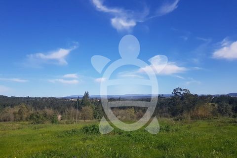 Terra a Condeixa-a-Nova, Coimbra, Condeixa-a-Nova - € 52.000 | Ref: cdx0609 - foto 3