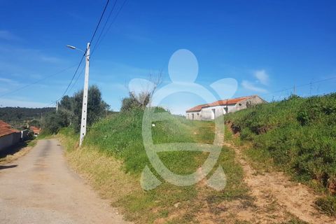 Terra a Condeixa-a-Nova, Coimbra, Condeixa-a-Nova - € 52.000 | Ref: cdx0609 - foto 5