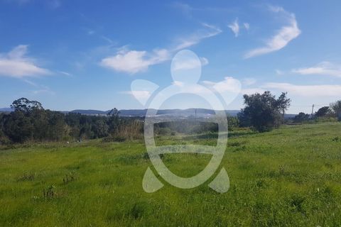 Terra a Condeixa-a-Nova, Coimbra, Condeixa-a-Nova - € 52.000 | Ref: cdx0609 - foto 6