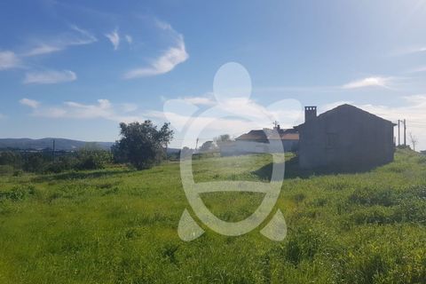 Terra a Condeixa-a-Nova, Coimbra, Condeixa-a-Nova - € 52.000 | Ref: cdx0609 - foto 7
