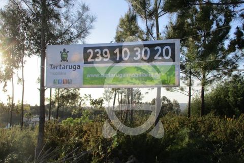 Grond in Cernache, Coimbra, Cernache - € 67.500 | Ref: cbr2669 - foto 2