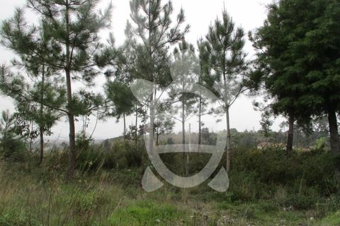 Grond in Cernache, Coimbra, Cernache - € 67.500 | Ref: cbr2669 - foto 8