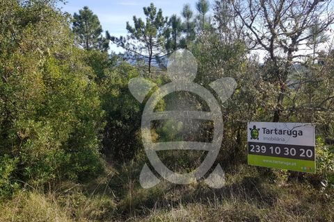 Helårsgrund i Coimbra, Coimbra, Coimbra - € 12.500 | Ref: cdx0600 - foto 2