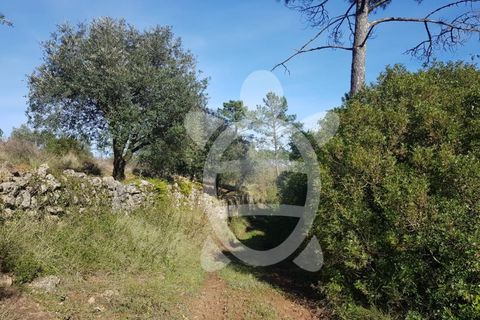 Helårsgrund i Coimbra, Coimbra, Coimbra - € 12.500 | Ref: cdx0600 - foto 3