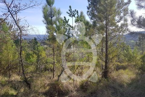 Helårsgrund i Coimbra, Coimbra, Coimbra - € 12.500 | Ref: cdx0600 - foto 5