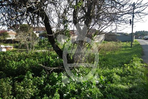 Terra a Lavos, Coimbra, Lavos - € 41.500 | Ref: ff1233 - foto 2