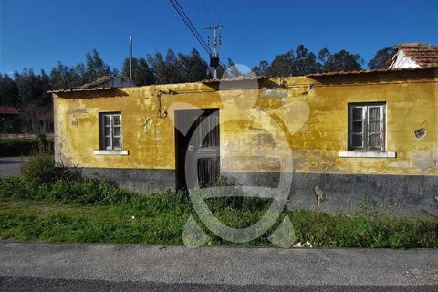 Terra a Lavos, Coimbra, Lavos - € 41.500 | Ref: ff1233 - foto 7