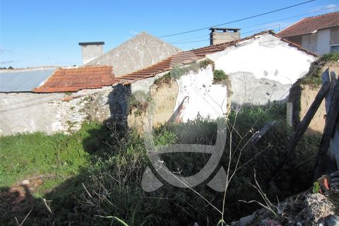 Terra a Lavos, Coimbra, Lavos - € 41.500 | Ref: ff1233 - foto 8
