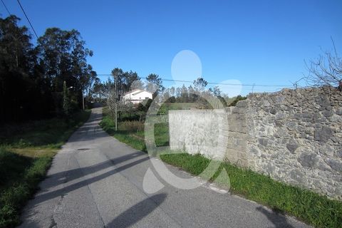 Terra a Lavos, Coimbra, Lavos - € 41.500 | Ref: ff1233 - foto 11