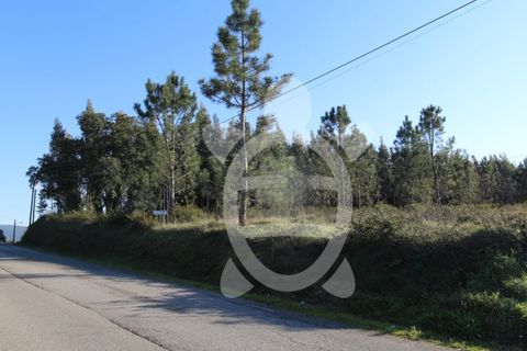 Helårsgrund i Soure, Coimbra, Soure - € 115.000 | Ref: cdx0583 - foto 1