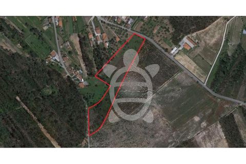 Helårsgrund i Soure, Coimbra, Soure - € 115.000 | Ref: cdx0583 - foto 2