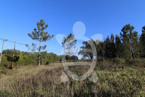 Helårsgrund i Soure, Coimbra, Soure - € 115.000 | Ref: cdx0583 - foto 4