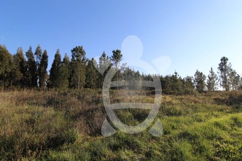 Helårsgrund i Soure, Coimbra, Soure - € 115.000 | Ref: cdx0583 - foto 3