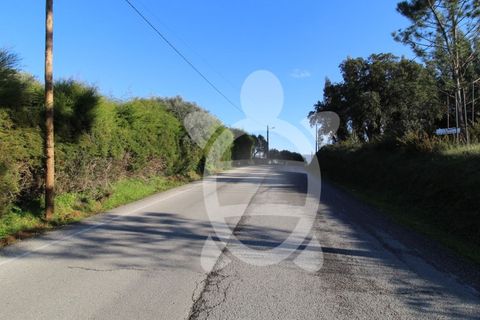 Helårsgrund i Soure, Coimbra, Soure - € 115.000 | Ref: cdx0583 - foto 5