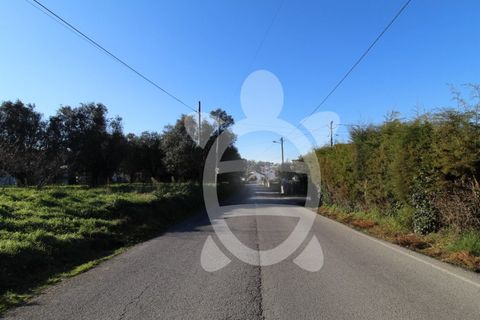 Helårsgrund i Soure, Coimbra, Soure - € 115.000 | Ref: cdx0583 - foto 6