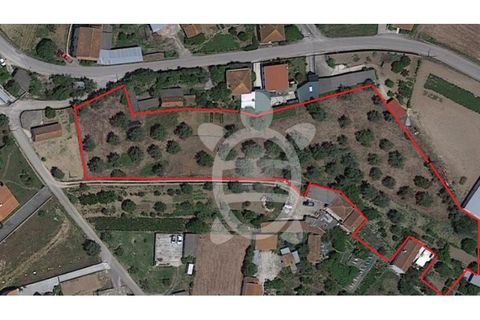 Terra a Gesteira e Brunhos, Coimbra, Gesteira e Brunhos - € 45.000 | Ref: cdx0582 - foto 3