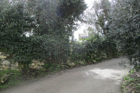 Terra a Gesteira e Brunhos, Coimbra, Gesteira e Brunhos - € 45.000 | Ref: cdx0582 - foto 4