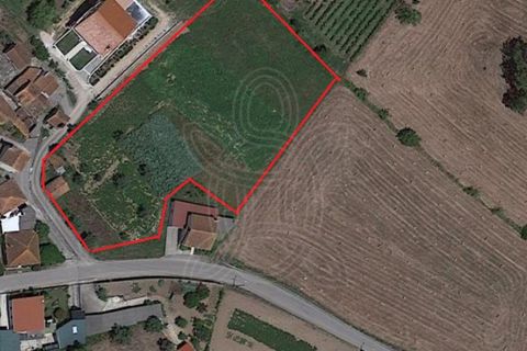 Tomt i Gesteira e Brunhos, Coimbra, Gesteira e Brunhos - € 40 000 | Ref: cdx0572 - foto 4