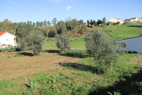 Tomt i Gesteira e Brunhos, Coimbra, Gesteira e Brunhos - € 40 000 | Ref: cdx0572 - foto 2