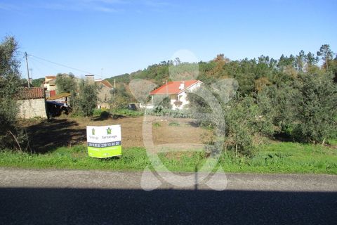 Tomt i Gesteira e Brunhos, Coimbra, Gesteira e Brunhos - € 40 000 | Ref: cdx0572 - foto 3