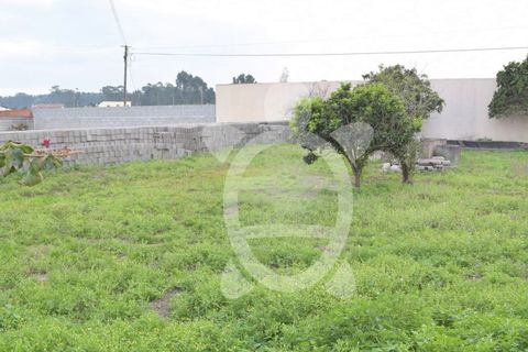 Helårsgrund i Quiaios, Coimbra, Quiaios - € 47.500 | Ref: ff1213 - foto 5