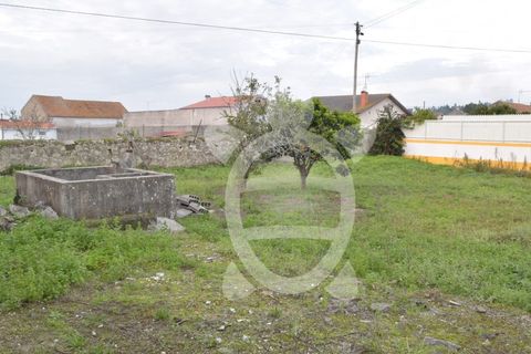 Helårsgrund i Quiaios, Coimbra, Quiaios - € 47.500 | Ref: ff1213 - foto 7