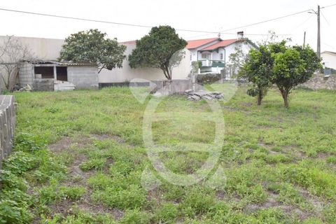 Helårsgrund i Quiaios, Coimbra, Quiaios - € 47.500 | Ref: ff1213 - foto 9