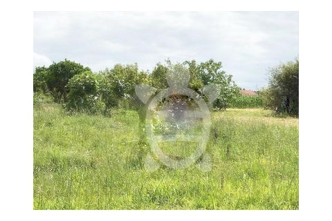 Helårsgrund i Lavos, Coimbra, Lavos - € 61.000 | Ref: ff1199 - foto 2