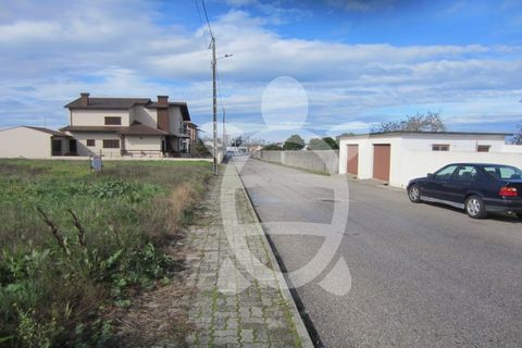 Helårsgrund i Lavos, Coimbra, Lavos - € 61.000 | Ref: ff1199 - foto 4