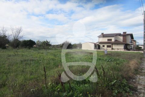 Helårsgrund i Lavos, Coimbra, Lavos - € 61.000 | Ref: ff1199 - foto 5