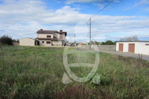 Helårsgrund i Lavos, Coimbra, Lavos - € 61.000 | Ref: ff1199 - foto 6