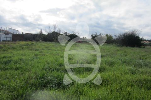 Helårsgrund i Lavos, Coimbra, Lavos - € 61.000 | Ref: ff1199 - foto 9