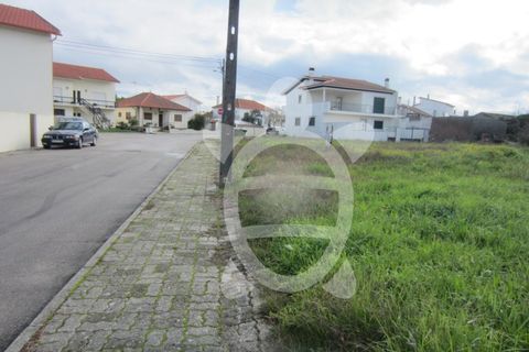 Helårsgrund i Lavos, Coimbra, Lavos - € 61.000 | Ref: ff1199 - foto 10