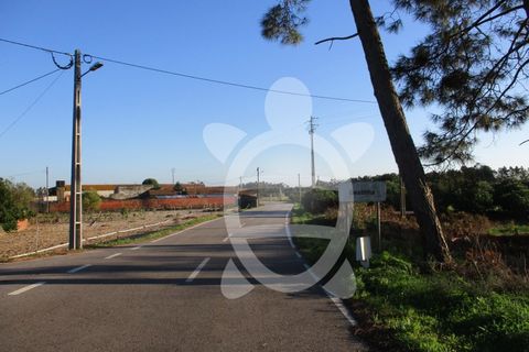Terra a Bom Sucesso, Aveiro, Bom Sucesso - € 50.000 | Ref: ff1200 - foto 9