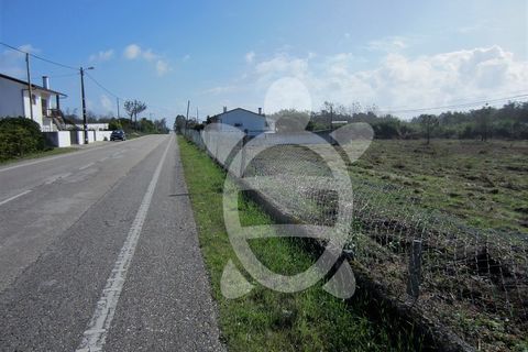 Helårsgrund i Lavos, Coimbra, Lavos - € 135.000 | Ref: ff1189 - foto 1
