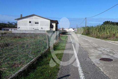 Helårsgrund i Lavos, Coimbra, Lavos - € 135.000 | Ref: ff1189 - foto 2