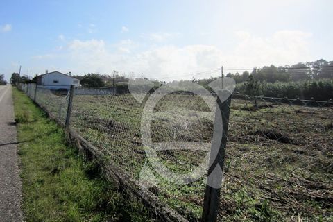 Helårsgrund i Lavos, Coimbra, Lavos - € 135.000 | Ref: ff1189 - foto 3