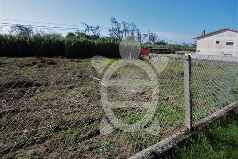 Helårsgrund i Lavos, Coimbra, Lavos - € 135.000 | Ref: ff1189 - foto 4