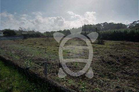 Helårsgrund i Lavos, Coimbra, Lavos - € 135.000 | Ref: ff1189 - foto 5